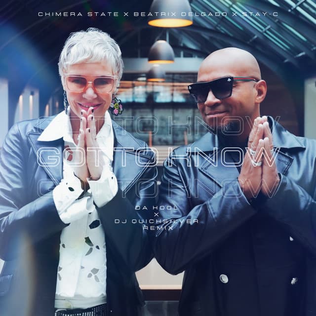 Got to Know (Da Hool X DJ Quicksilver Remix)