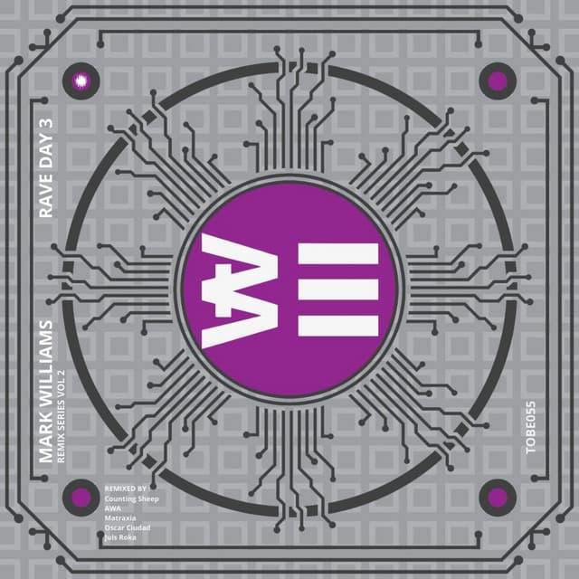 Rave Day 3 Series, Vol. 2 (Remix)