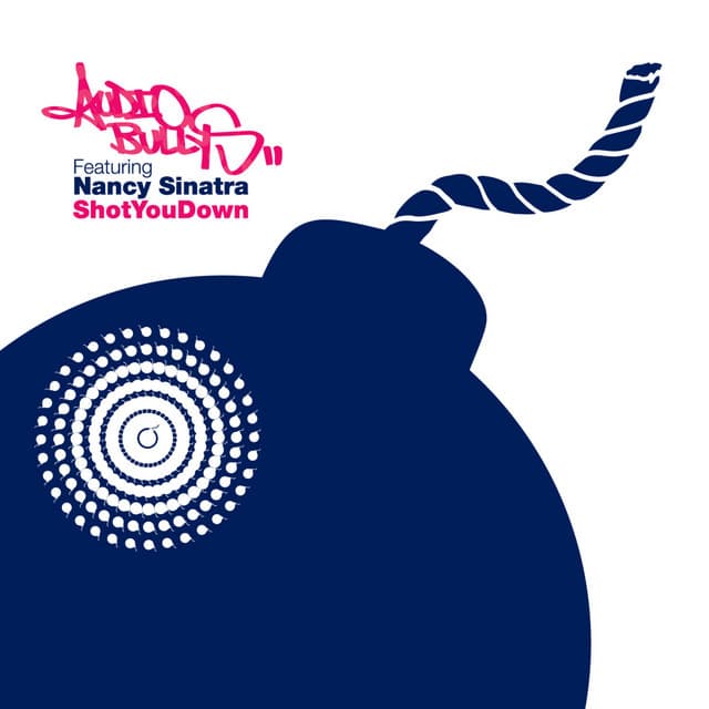 Shot You Down - Radio Edit