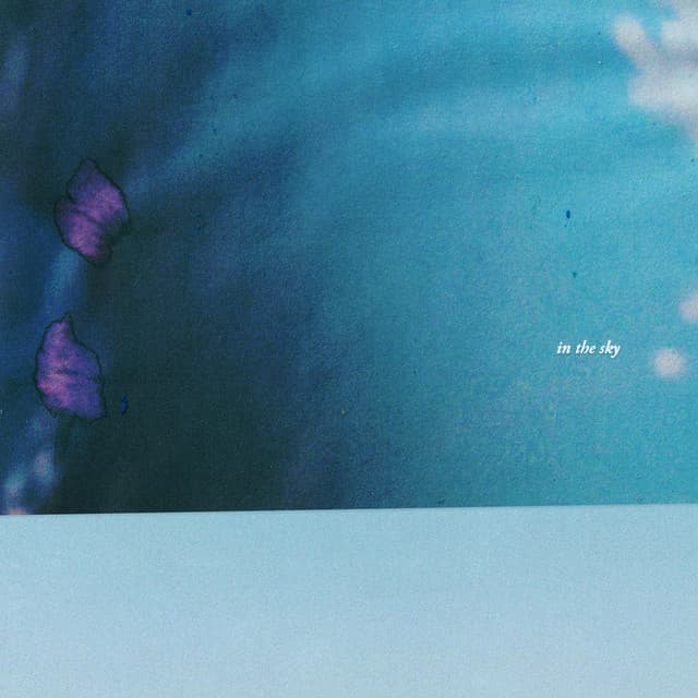 In The Sky (DK The Punisher's 10th Anniv. Mix)