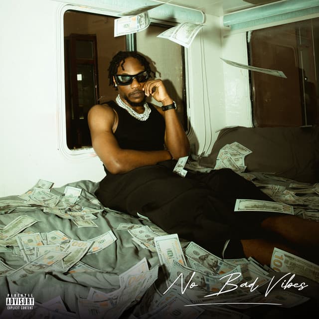No Bad Vibes