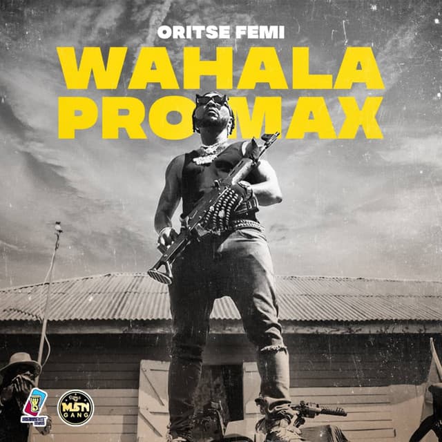 Wahala Promax
