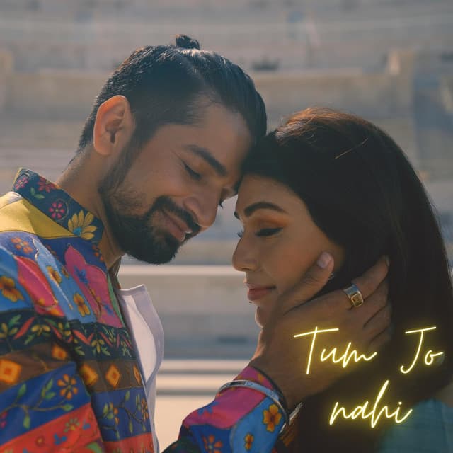 Tum Jo Nahi