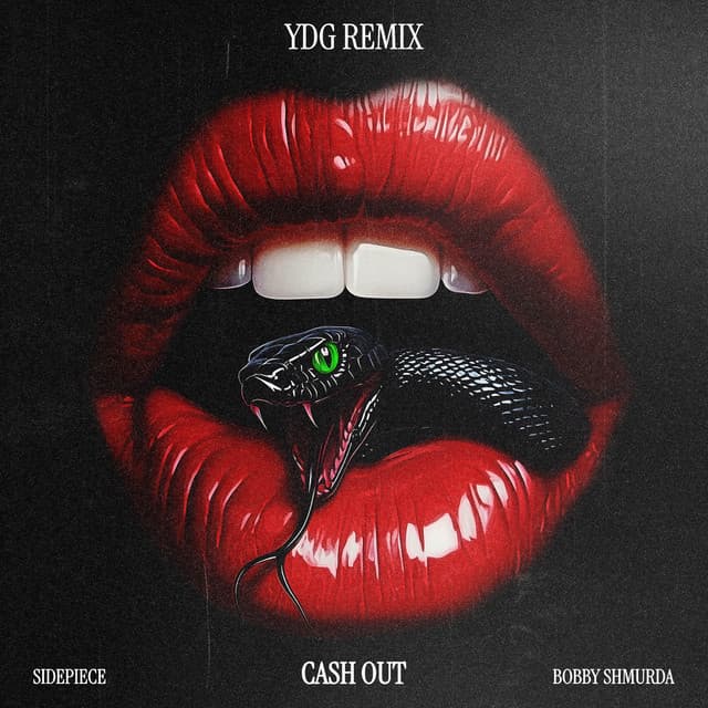 Cash Out (YDG Remix)