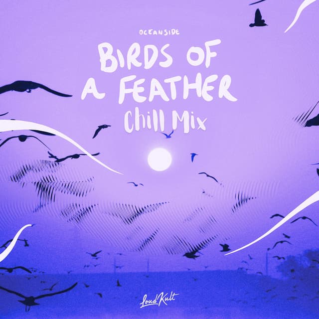 BIRDS OF A FEATHER - Chill Mix
