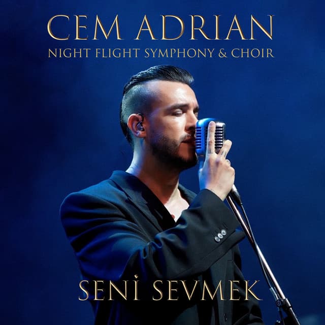 Seni Sevmek (Live)