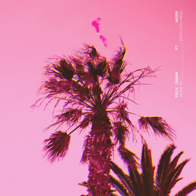 Wake Up (With You Mine)