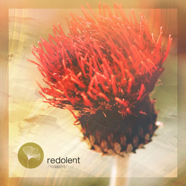 Save a Prayer - Radio Edit