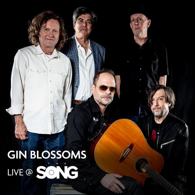 Gin Blossoms (Live at The Song)