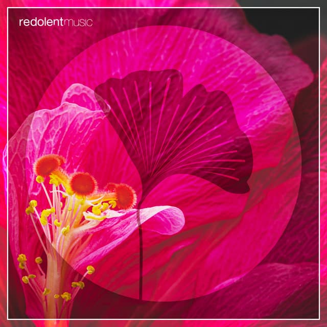 La Danza (SIS Remix)