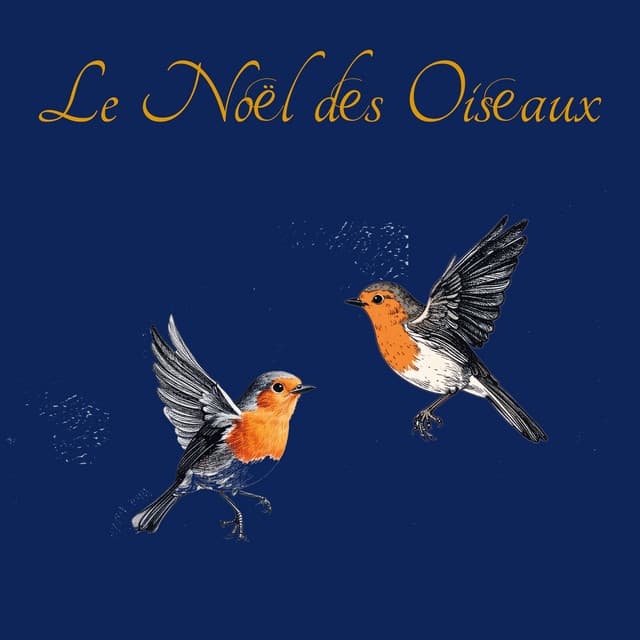 Le Noël des oiseaux (Arr. for Cello & Piano by Julian Riem)