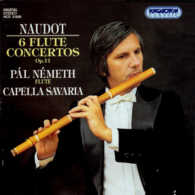 Flute Concerto in E Minor, Op. 11, No. 5: I. Allegro