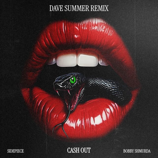 Cash Out - Dave Summer Remix