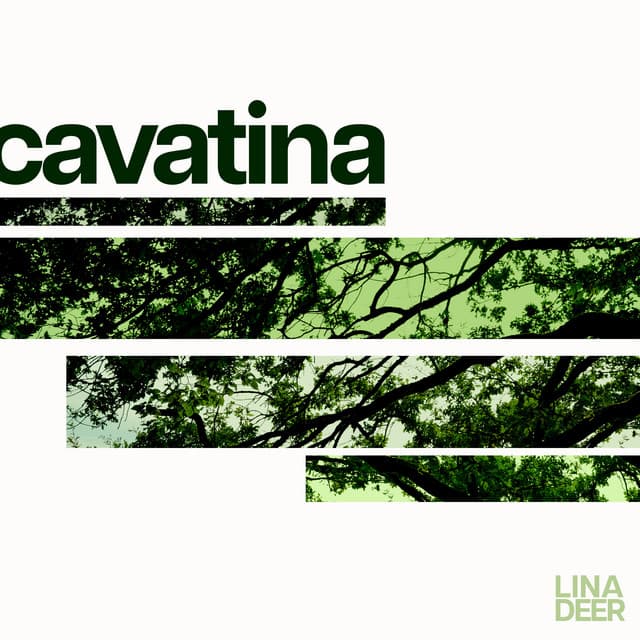 Cavatina