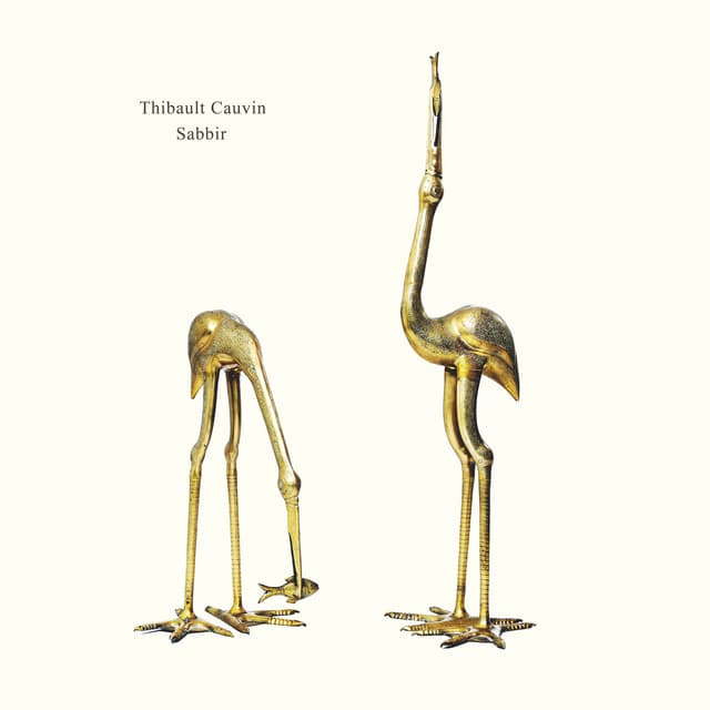 Sabbir (Live in Paris / 2025)