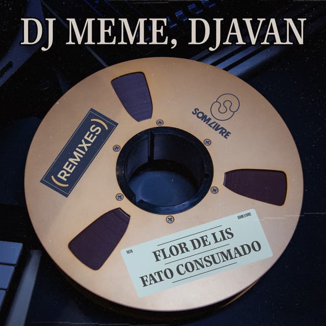 Flor de Lis / Fato Consumado (DJ Meme Remixes)