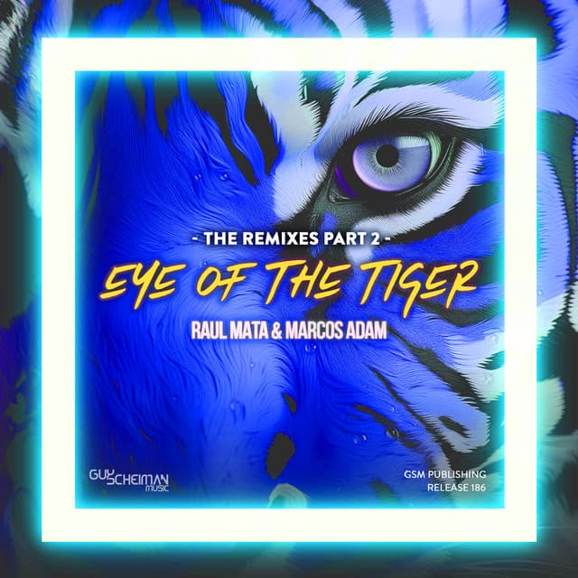 Eye Of The Tiger - Rashad Miraz Remix