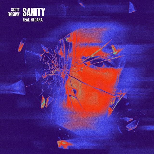 Sanity (feat. Hedara)