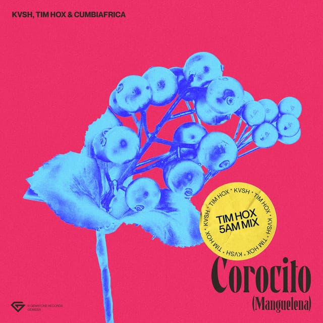 Corocito (Manguelena) [Tim Hox 5AM Mix]