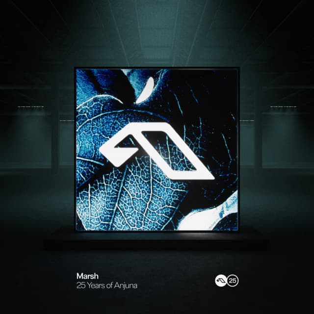 Counting Down The Days - Marsh Remix (Mixed)