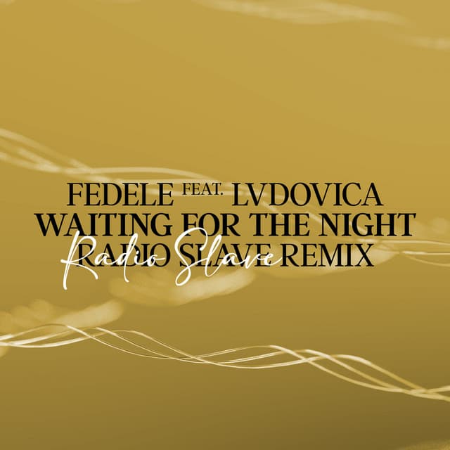 Waiting For The Night (Radio Slave Remix)