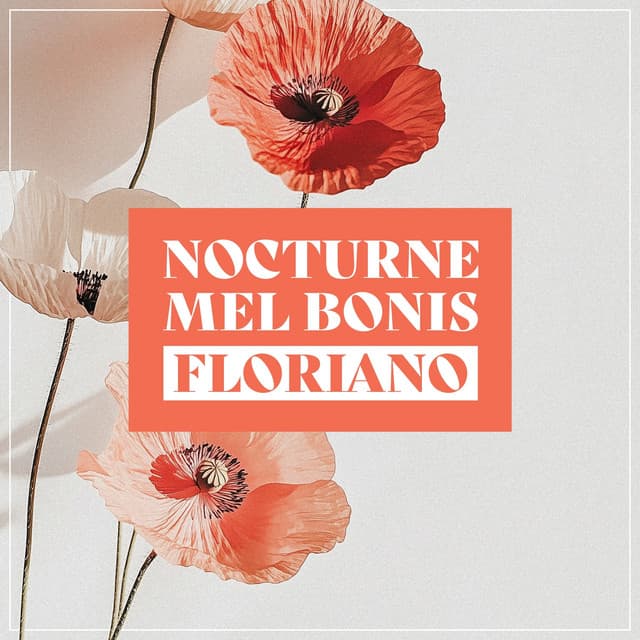 Scènes de la forêt - Nocturne