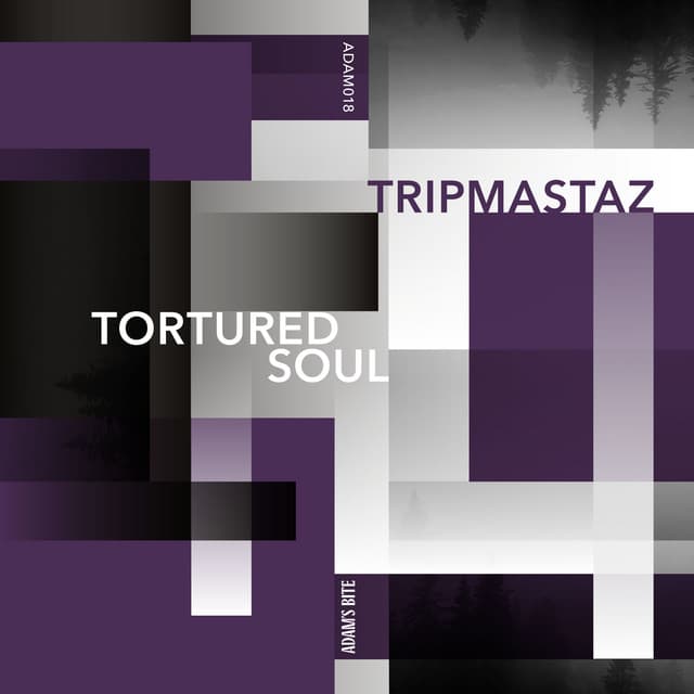 Tortured Soul
