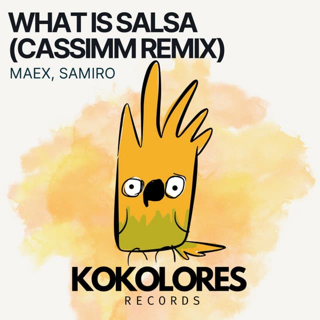 What Is Salsa (CASSIMM Remix)