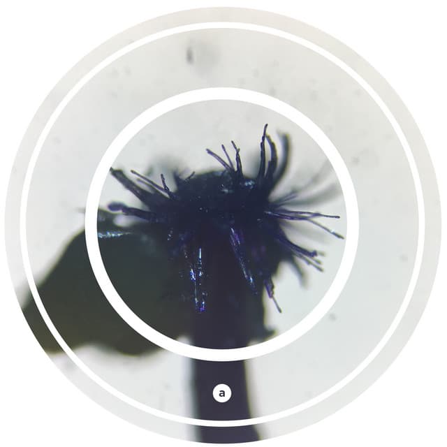 Swipe Left - Bash & T Remix