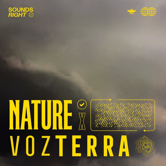 Colombian Rainy Mist