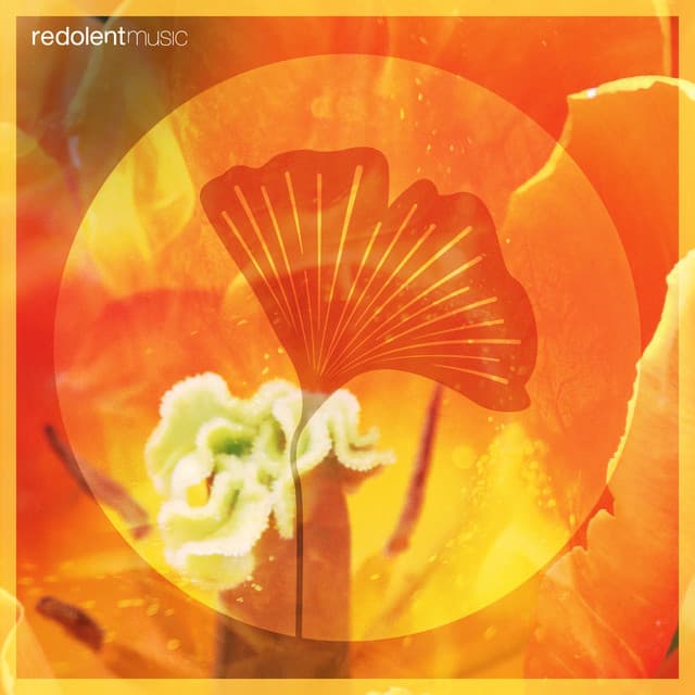 Loco Morocco - DJ CHUS Remix