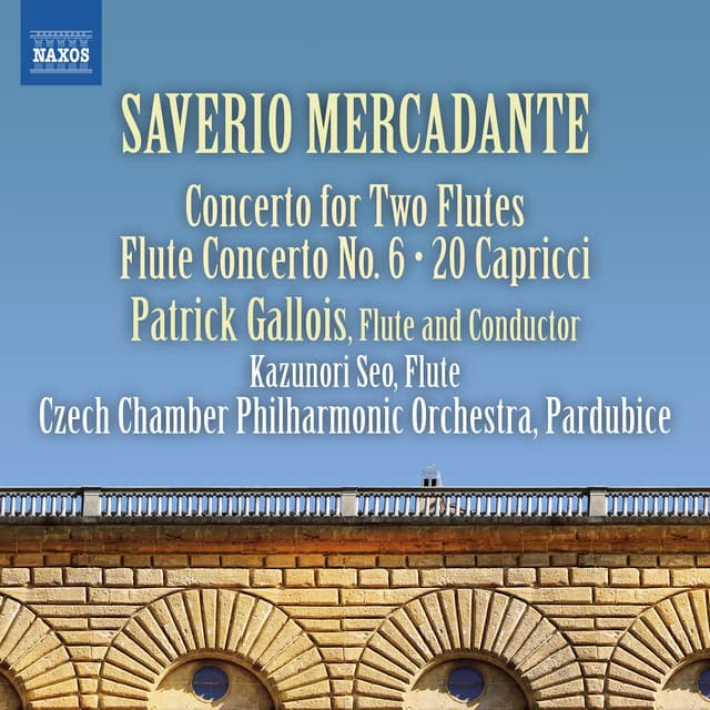 Concerto for 2 Flutes in D Major (Ed. P. Gallois): II. Largo
