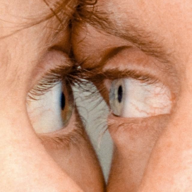 I Want to See Everything