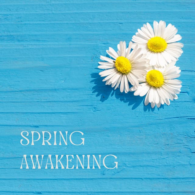 Spring Awakening