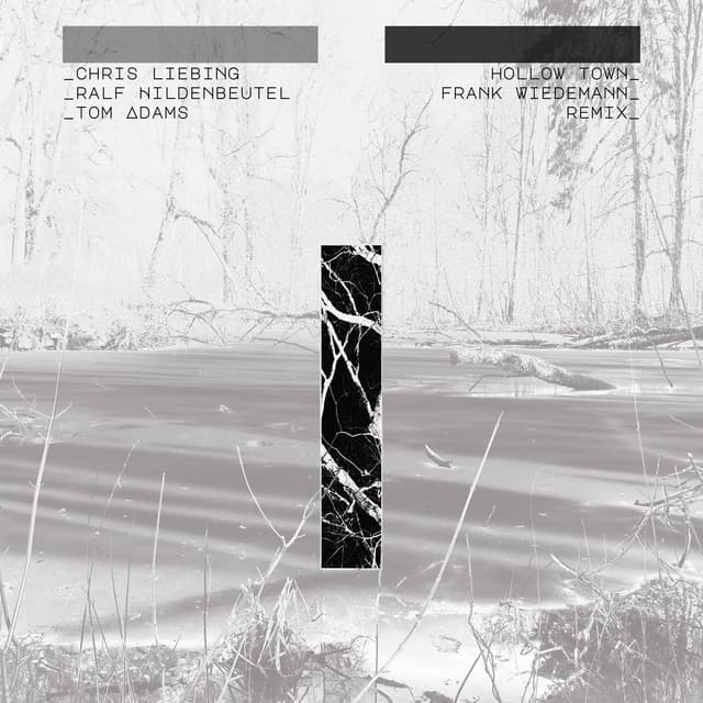 Hollow Town (feat. Tom Adams) [Frank Wiedemann Remix]