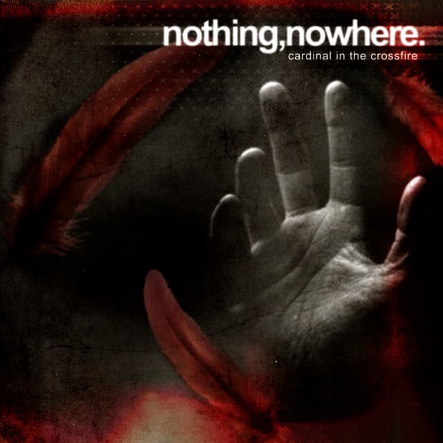 Cardinal In The Crossfire