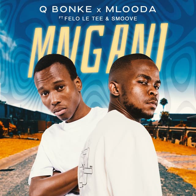 Mngani (feat. Felo Le Tee & Smoove)