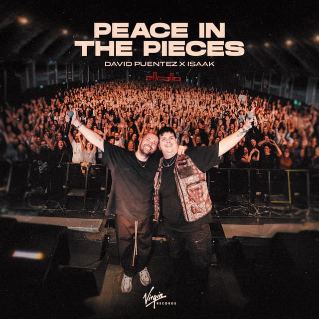 Peace In The Pieces