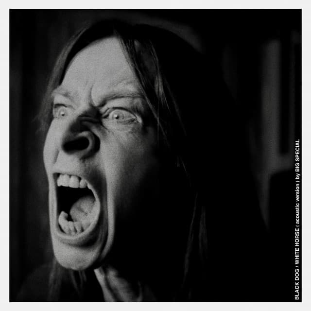 Black Dog / White Horse (Acoustic Version)