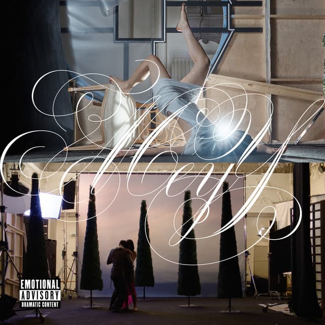 beauty ends where indifference begins