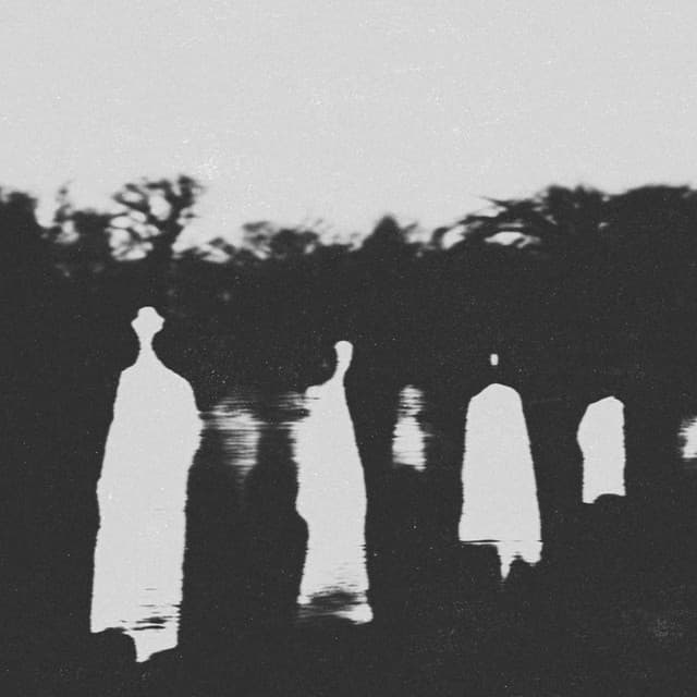 Timeless Reflections