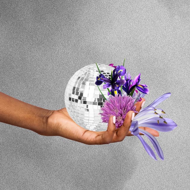 The Other Lover - Little Dragon Vocal Celebration Mix