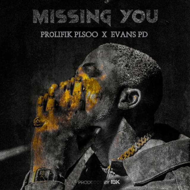 Missing You (Remix)