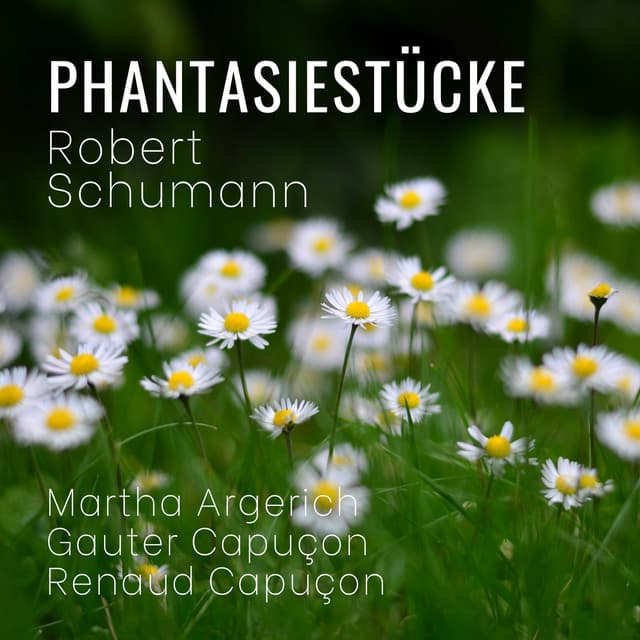 Robert Schumann: Phantasiestücke