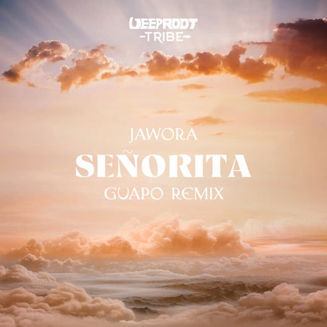 Señorita (Guapo Remix)